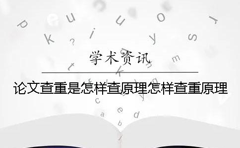 论文查重是怎样查原理怎样查重原理