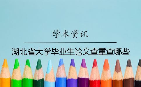 湖北省大学毕业生论文查重查哪些