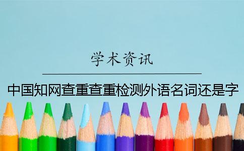 中国知网查重查重检测外语名词还是字母