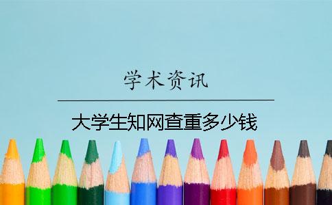 大学生知网查重多少钱