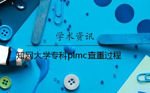 知网大学专科plmc查重过程