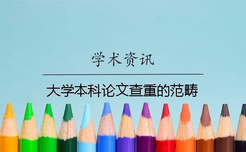 大学本科论文查重的范畴