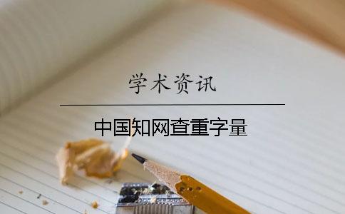 中国知网查重字量