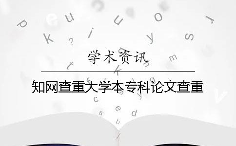 知网查重大学本专科论文查重